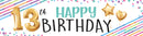 13th Birthday Banner