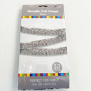 10FT FOIL FRINGE SILVER