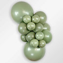 DELUXE EUCALYPTUS 5" SEMPERTEX BALLOONS 50CT
