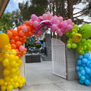 Organic Balloon Arch Summer Fun 6x6